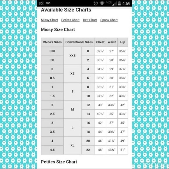 Zenergy Chicos Zip Sweater Gray Knitted Arms 2 - Picture 12 of 12